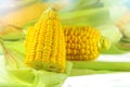 half break sweet corn,close up yellow fresh half corn raw delicious put on leaf isolated on white background Royalty Free Stock Photo