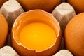 Half broken chicken egg and brown chicken eggs in egg carton Royalty Free Stock Photo