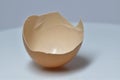 Broken egg shell