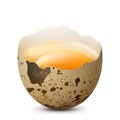 Half of broken quail egg with a yolk isolated on a white background. Raw ÃÂhicken egg smashed. Healthy food with high protein. Royalty Free Stock Photo