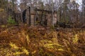 A half-burned destroyed wooden building in an autumn wet forest Royalty Free Stock Photo