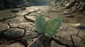 A half-burned leaf on cracked earth symbolizes drought, river symbolizes of climate change Royalty Free Stock Photo