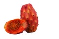 Half Cactus or Nopal White Background