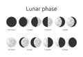 Half and circle moon phases. Astrology calendar of eclipse crescent. Full or quarter moonlight. Waning lunar shapes