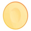 Half clean melon icon, cartoon style