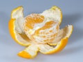 Half Clementine with Peal Royalty Free Stock Photo