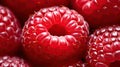 half closeup raspberry fruit Royalty Free Stock Photo