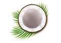 Half coco nut with green palm leaves