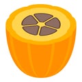 Half cocoa fruit icon, isometric style
