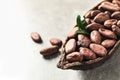 Half of cocoa pod with beans on light table. Space for text Royalty Free Stock Photo