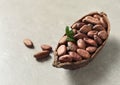 Half of cocoa pod with beans on light table Royalty Free Stock Photo