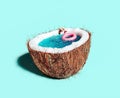 Half of coconut filled with water and pink flamingo inflatable belt. Summer vacation concept background