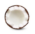 Half of coconut isolated