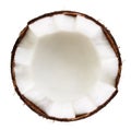 Half of coconut isolated