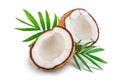 Half of coconut with leaves isolated on white background Royalty Free Stock Photo