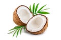 Half of coconut with leaves isolated on white background Royalty Free Stock Photo