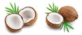 half of coconut with leaves isolated on white background Royalty Free Stock Photo