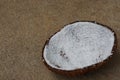 Half of coconut shell after grated by coconut grater 2 Royalty Free Stock Photo