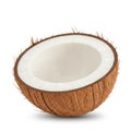 Half Coconut Shell Isolated on White Background Royalty Free Stock Photo