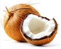 A half of a coconut on a white background Royalty Free Stock Photo