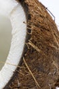 Half of coconut with white core on white background Royalty Free Stock Photo