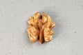 Half core of walnut, view as brain, concept healthy nutrition for mind