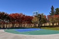 Half court vinyl floored outdoor basketball court