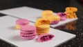 Half of the cream-free macarons, arranged on a white plate.