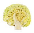 Half Crisphead lettuce vegetable isolated on white background with clipping path Royalty Free Stock Photo
