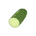 Half Cucumber Flat Composition