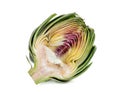 Half cut artichoke isolated on white Royalty Free Stock Photo