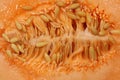 Half cut Cantaloupe Melon Royalty Free Stock Photo