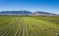 Half Cut Field of Hay Royalty Free Stock Photo