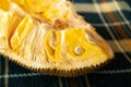 Half cut Jackfruit tropical exotic Thai fruit close up detail