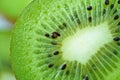 Half cut kiwi close up Royalty Free Stock Photo