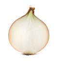 Half cut onion bulb on white background Royalty Free Stock Photo