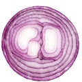 Half of cut red onion isolated on white background Royalty Free Stock Photo