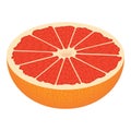 Half cutted grapefruit icon, isometric style