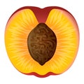 Half cutted peach icon, cartoon style