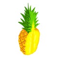 Half cutted pineapple icon, isometric style