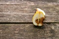 Half cutted rottening pear fruit on aged weathered pine wood boards