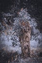 Half cutted tree with newly growing leaves