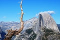 Half Dome and gnarled old tree Royalty Free Stock Photo