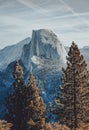 Half Dome at Yosemite National Park Royalty Free Stock Photo