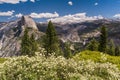 Half Dome and Yosemite Valley with flowers in bloom Royalty Free Stock Photo