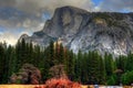Half Dome Yosemite Valley Royalty Free Stock Photo