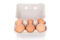 Half dozen brown chicken eggs Royalty Free Stock Photo