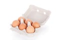 Half dozen brown chicken eggs Royalty Free Stock Photo