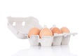 Half dozen brown chicken eggs Royalty Free Stock Photo