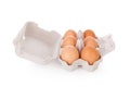 Half dozen brown chicken eggs in box Royalty Free Stock Photo